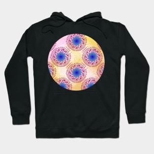 Teardrop Concentric Circle Pattern (Pink,Yellow) Hoodie